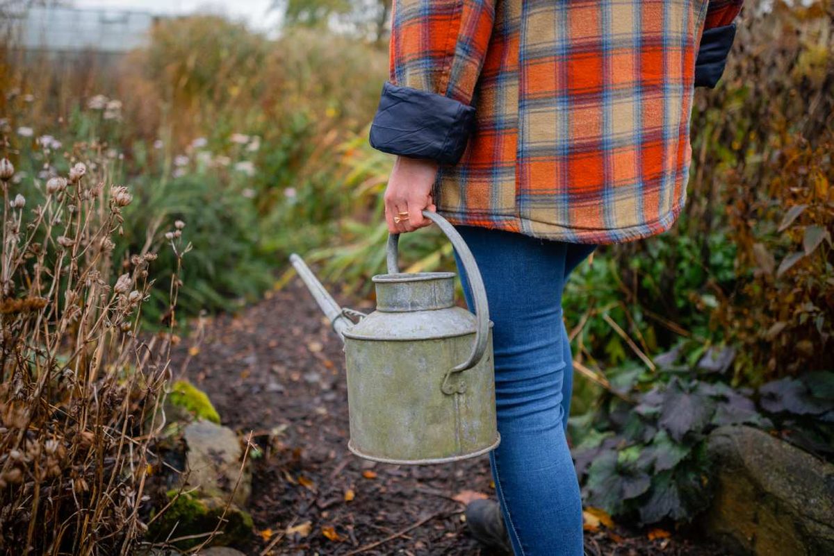 Ciertos errores son habituales en el jardín en invierno