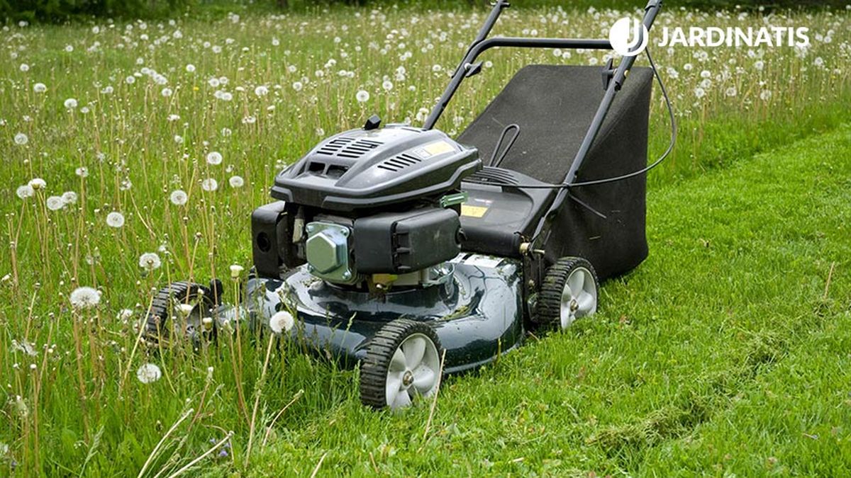 cuidados cesped primavera xl