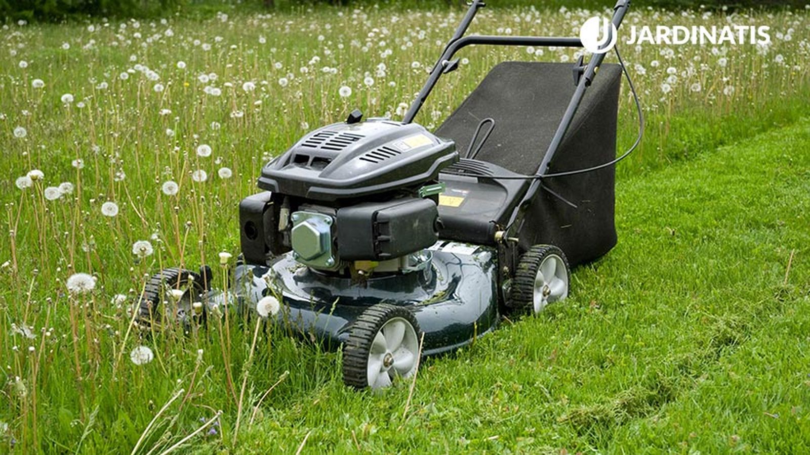 cuidados cesped primavera xl