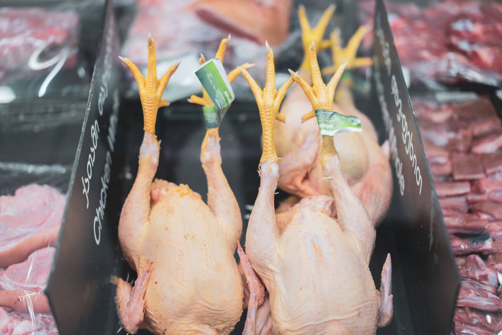 El color de la piel no determina si un pollo tiene más calidad que el otro, no es un factor determinante.