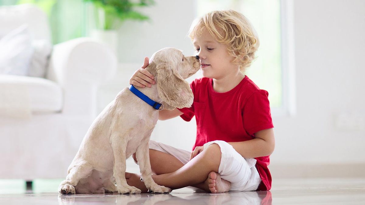 animales reducir asma ninos 3