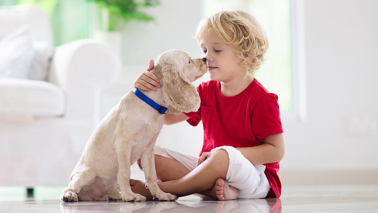 animales reducir asma ninos 3