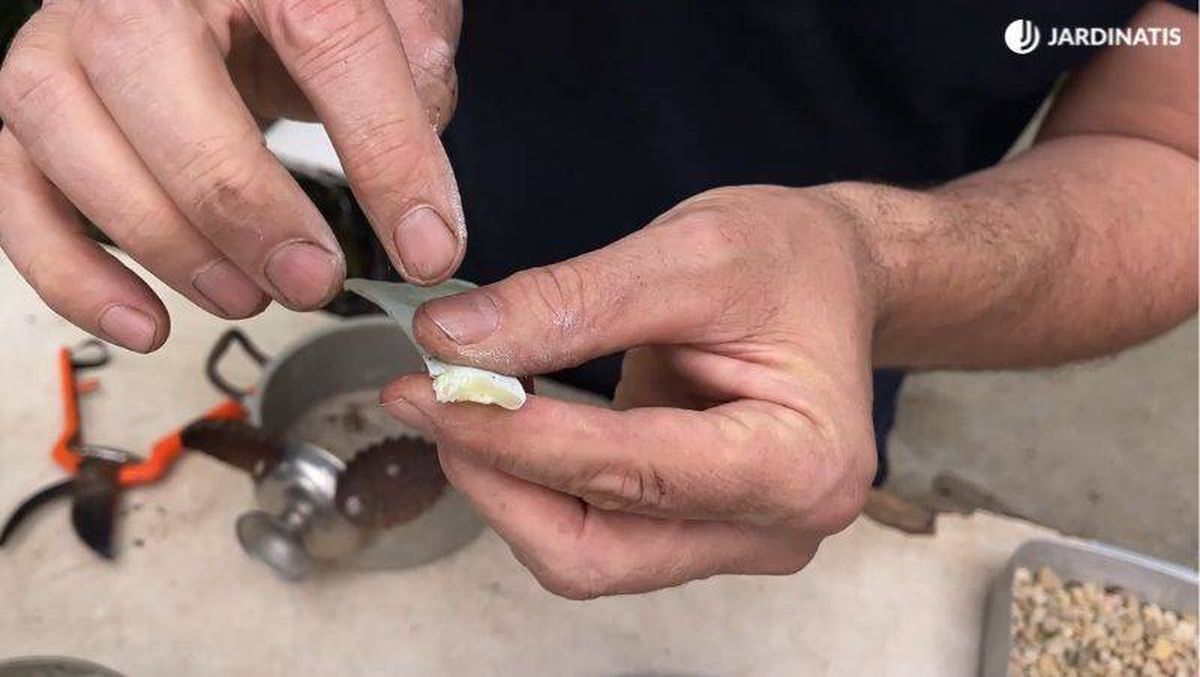 El corte debe cerrarse