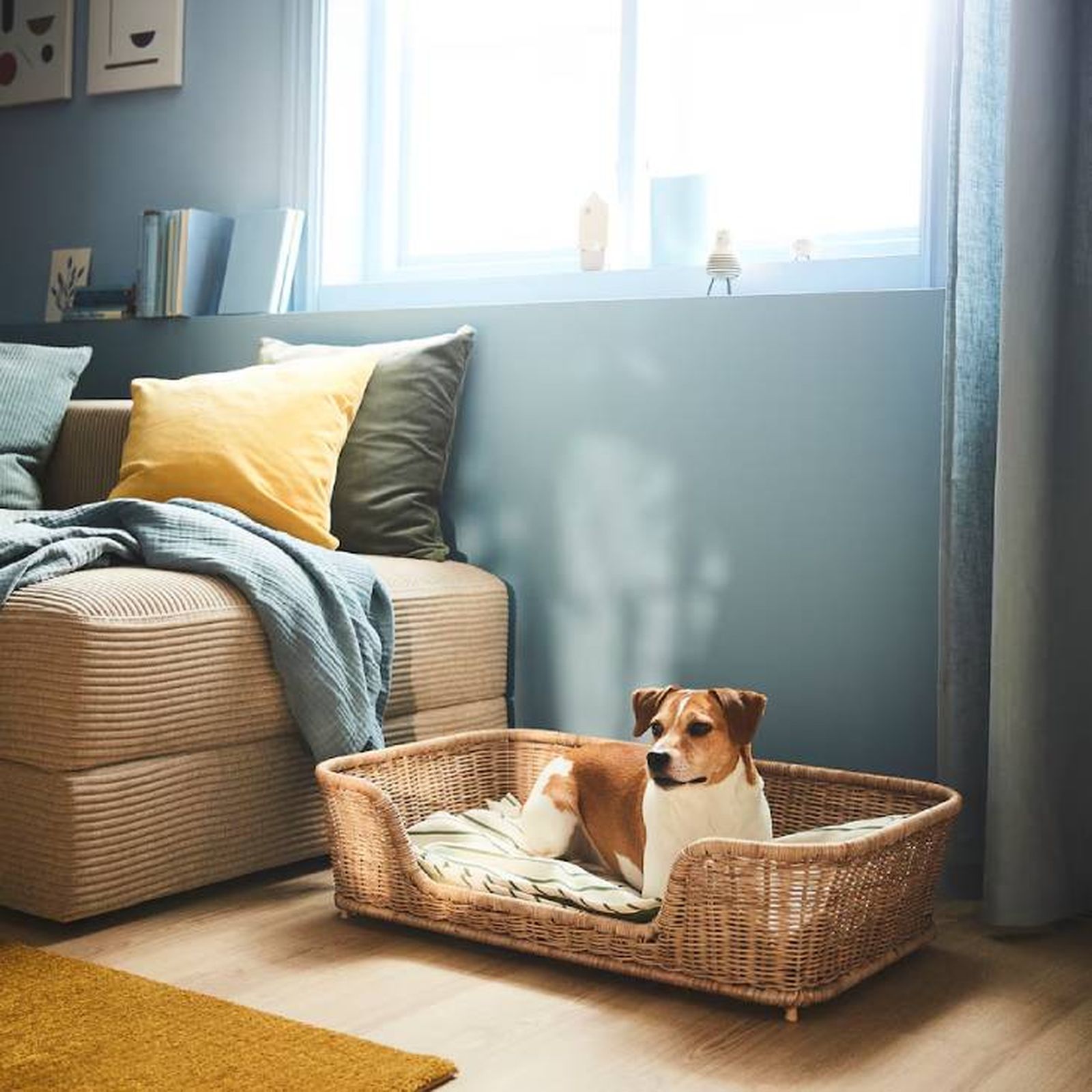 cama cesta perro ikea