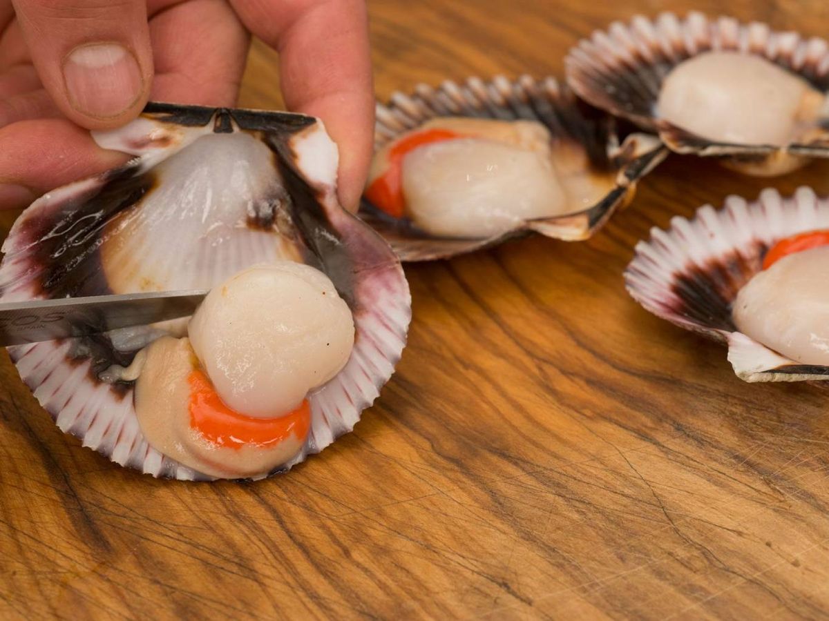 La limpieza de las zamburiñas, paso esencial para preparar el relleno de la empanada.