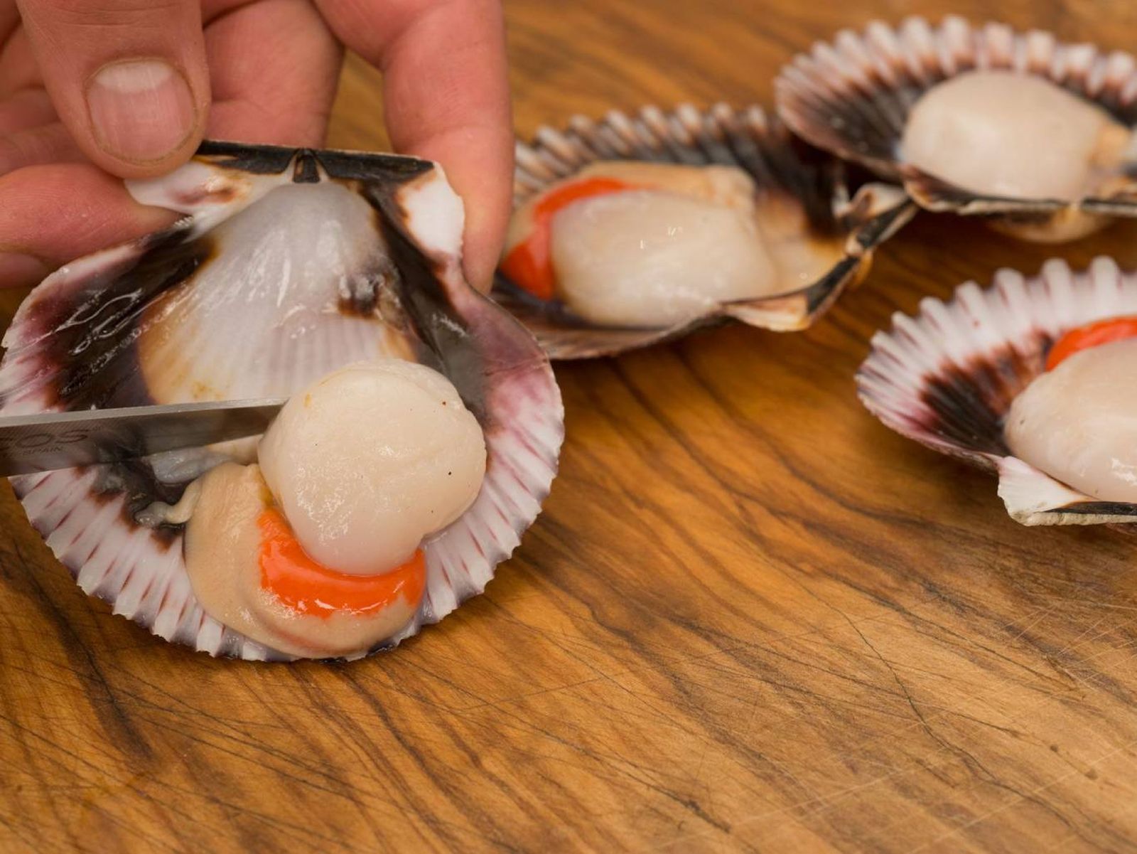 La limpieza de las zamburiñas, paso esencial para preparar el relleno de la empanada.