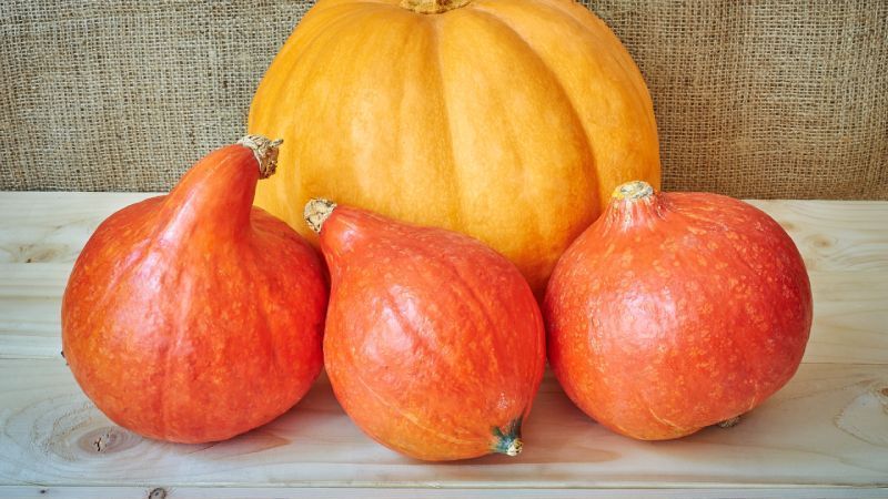 Calabaza potimarrón