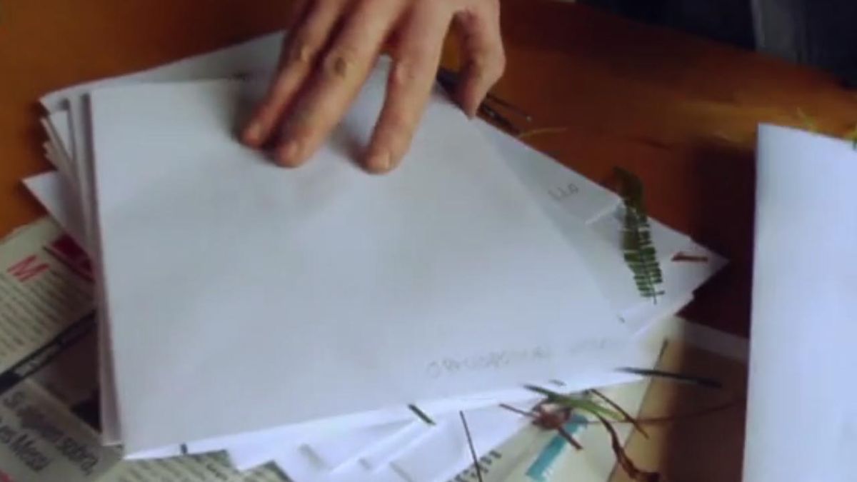 brico jardin 825 collage vegetal con hojas secas 2