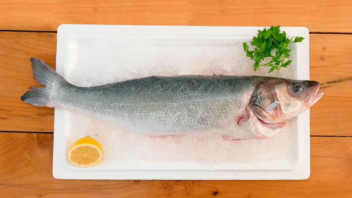Artículo sobre lubina, pescado blanco bajo en grasa  pescado