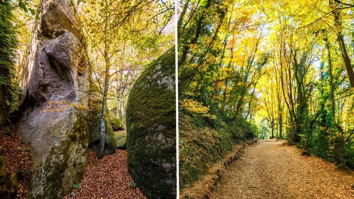 La fageda d en jorda