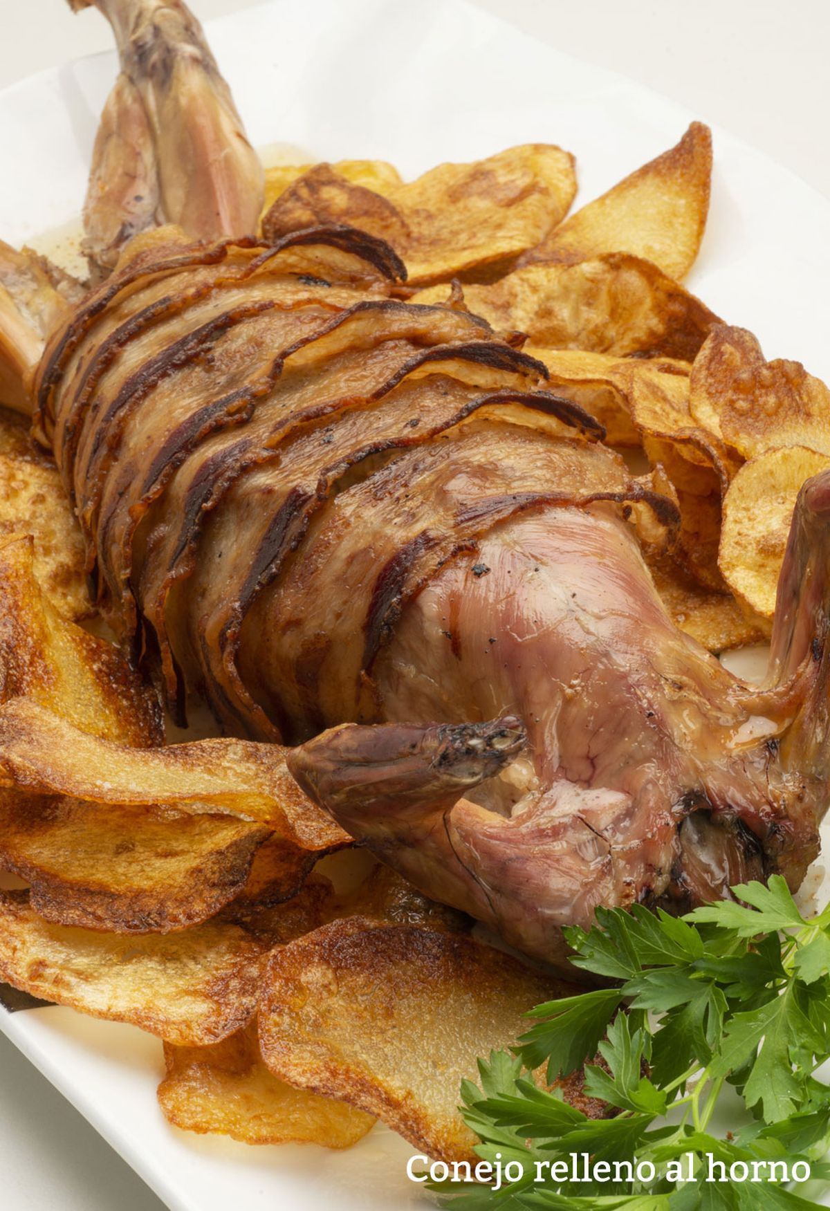 conejo relleno vertical