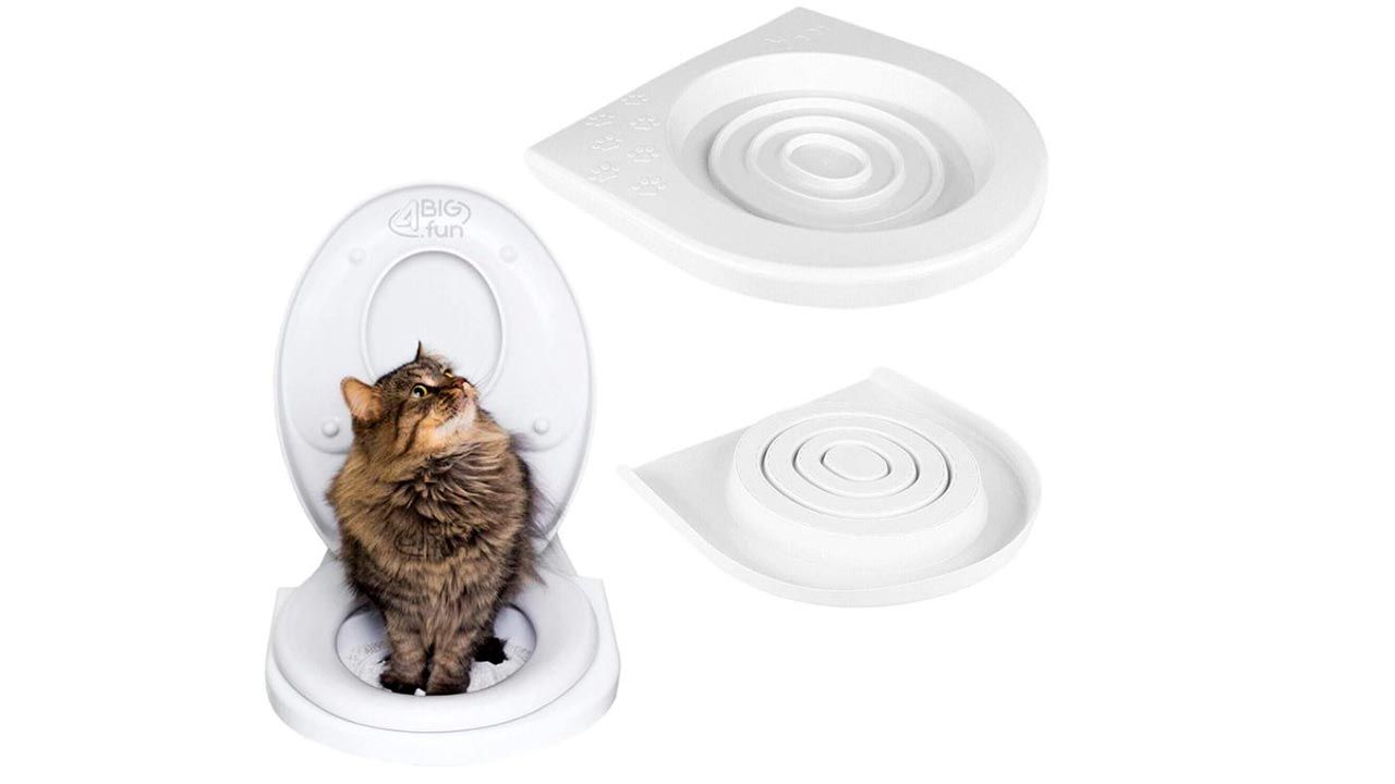 gato usar wc 6