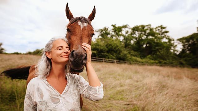 caballo mimoso