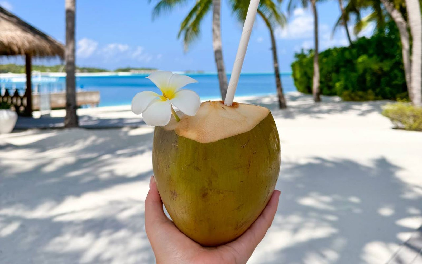 Agua de coco, la bebida isotónica natural para hidratarte
