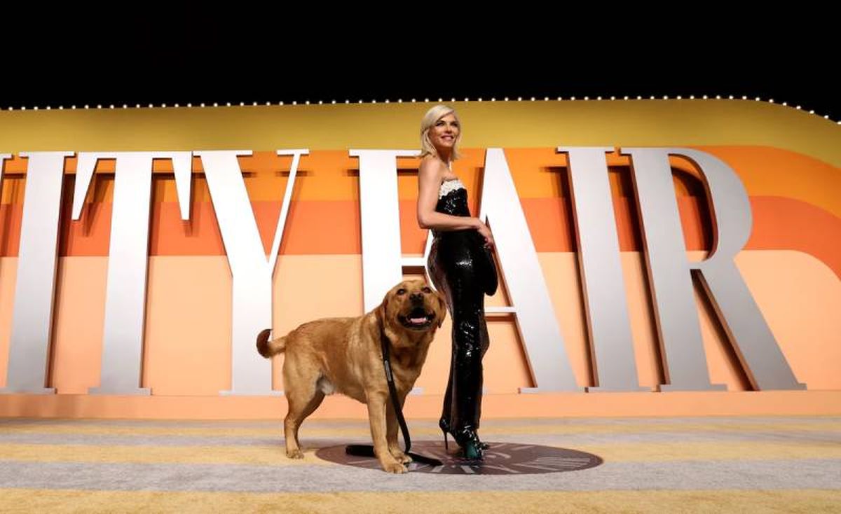 Scout es un perro labrador retriever amarillo de pelaje dorado.