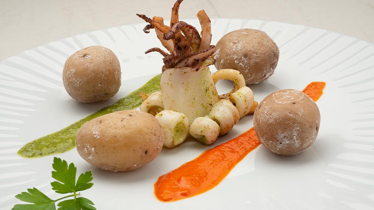 karl6580 calamares mojo xl