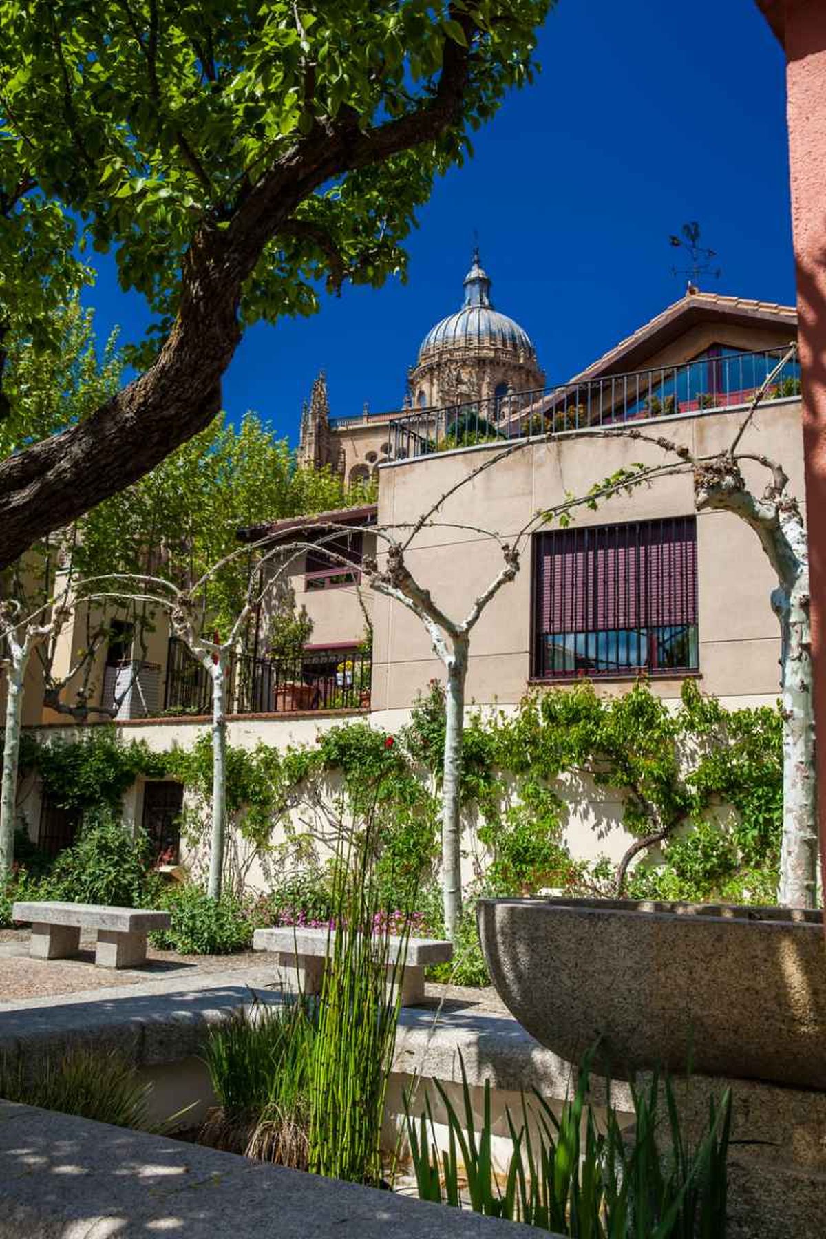 El huerto se divide en distintas zonas