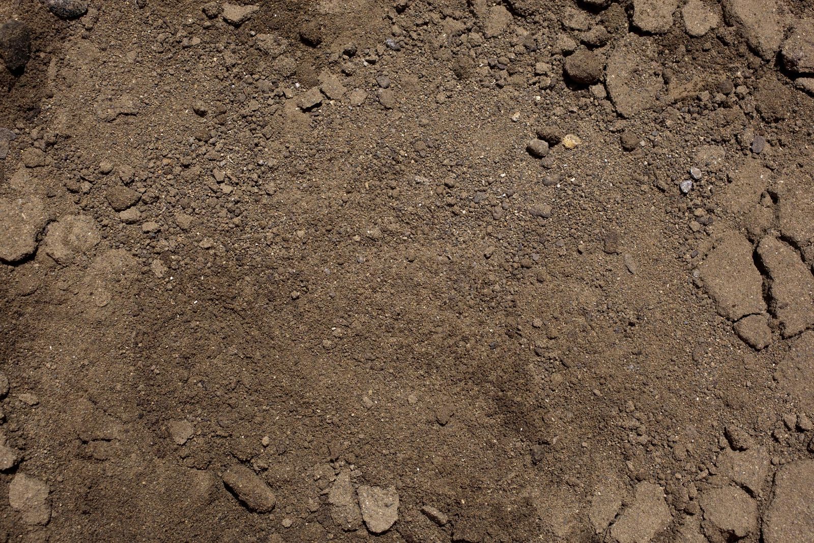 texturas de la tierra xl