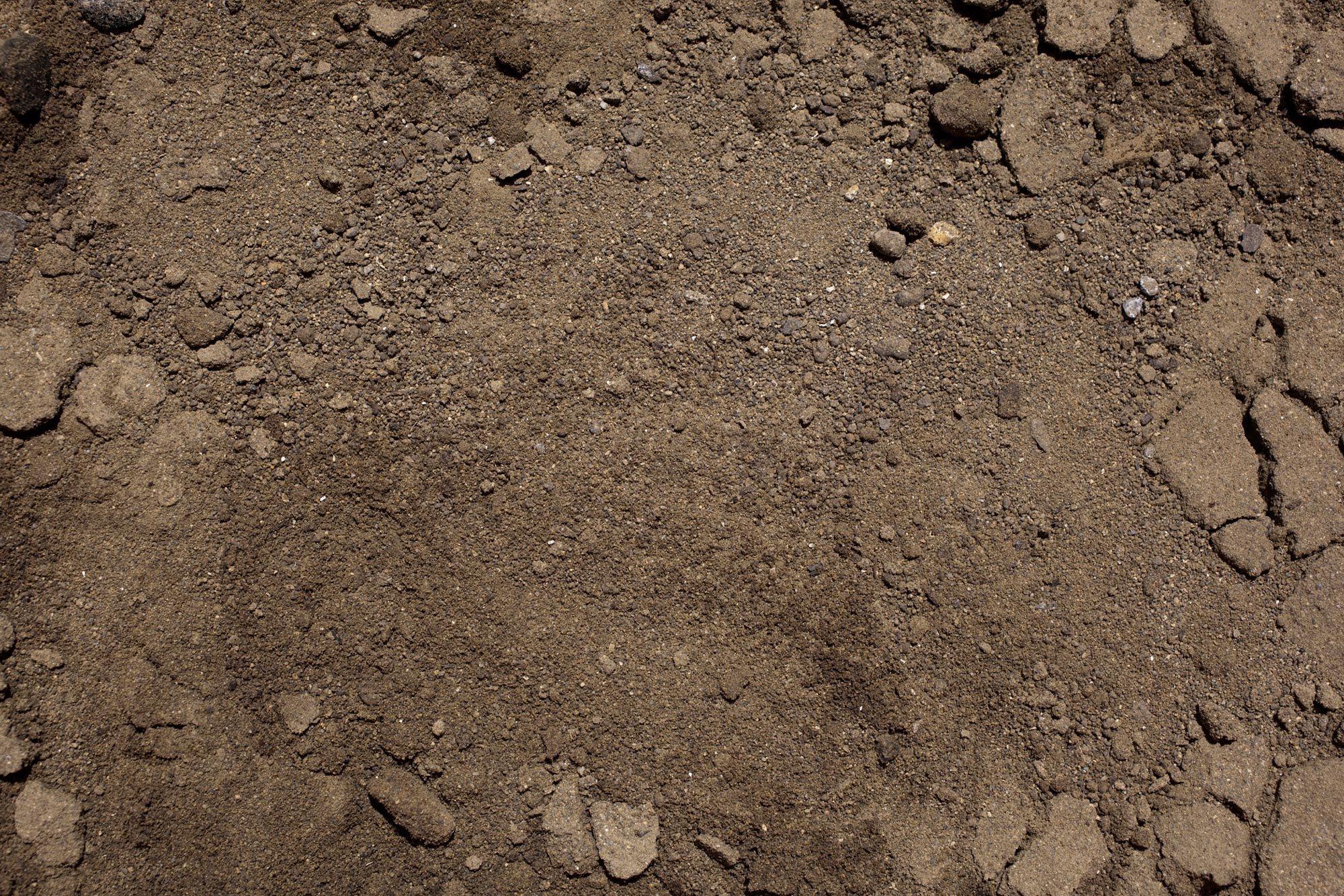 texturas de la tierra xl