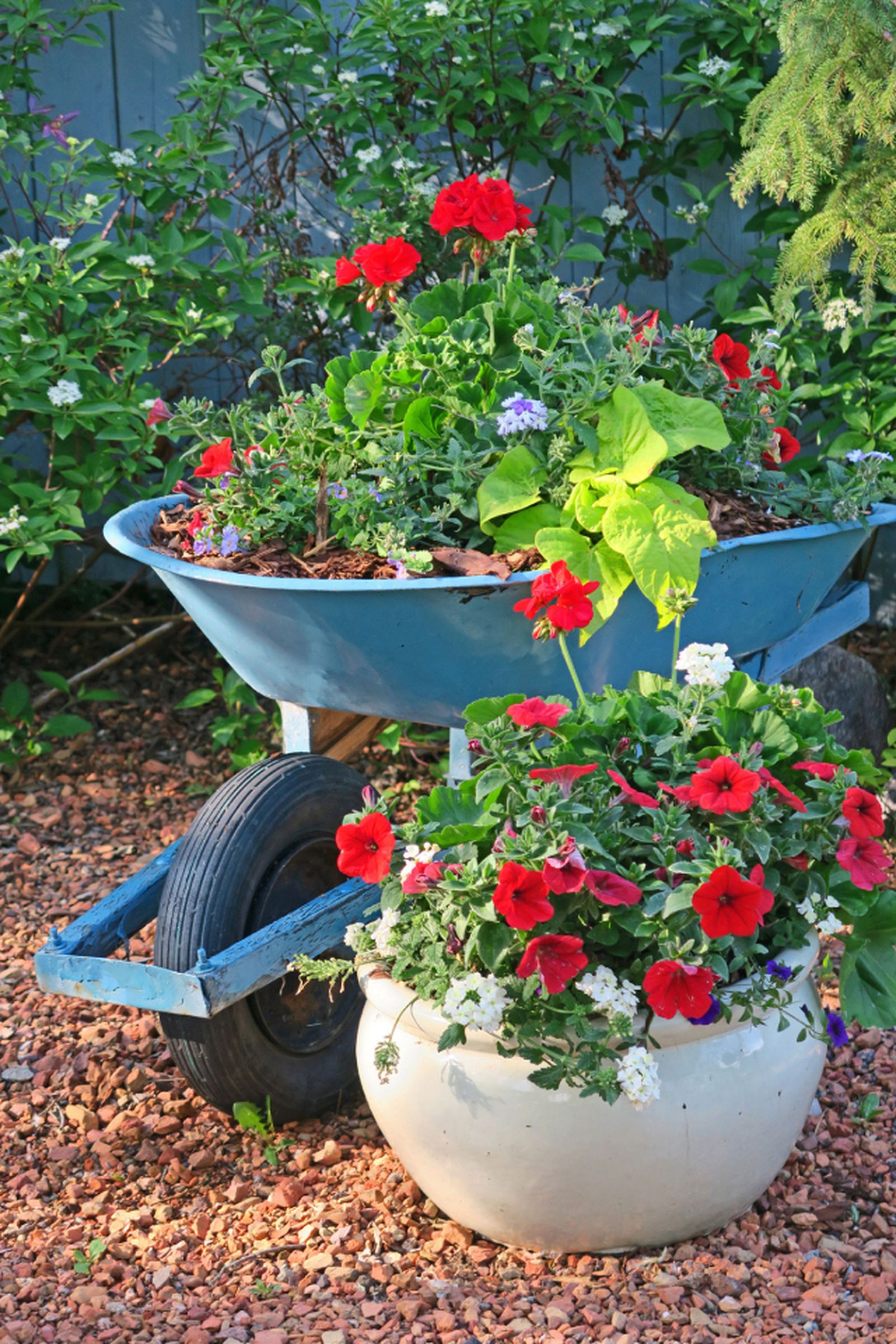 decorar jaridn carretillas plantas 2