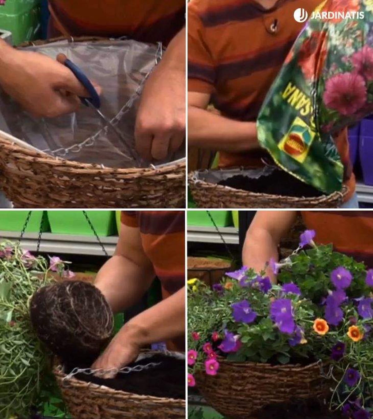 plantacion surfinias en cestos colgantes deco 438