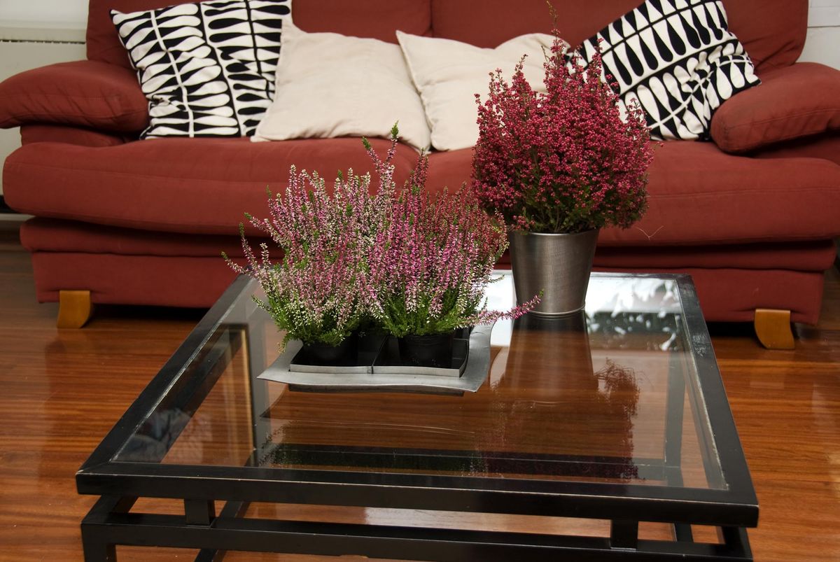 deco 076 plantas pequenas centros mesa xl