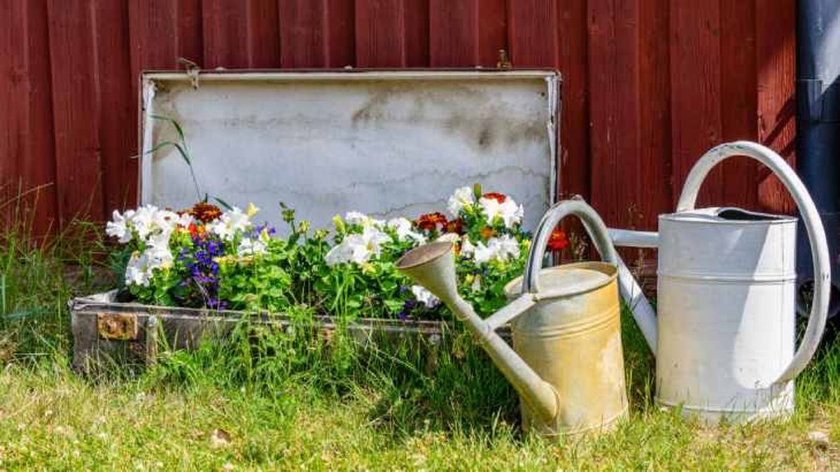 maleta antigua recipiente plantas