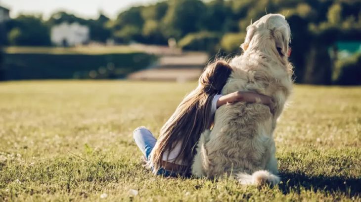 bonitas frases de perros y duenos 2