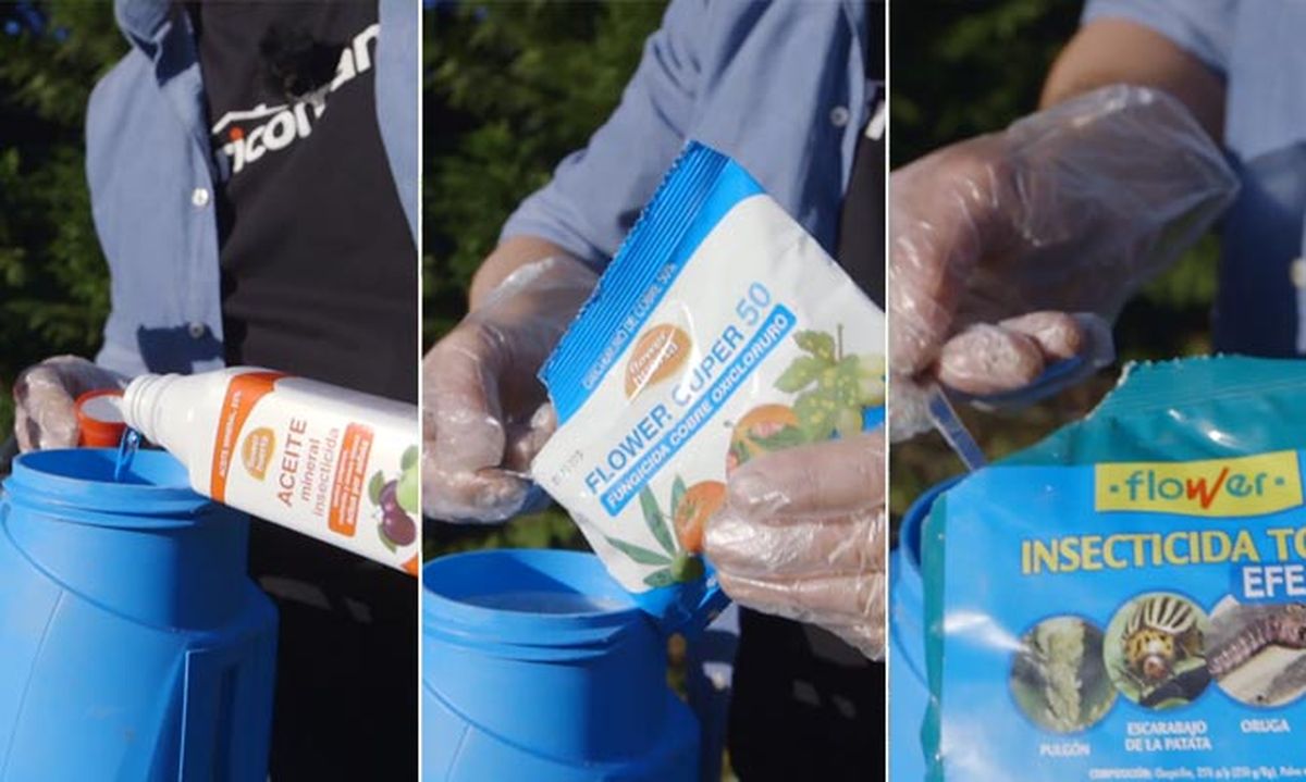 brico jardin 895 tratamiento para proteger frutales en invierno