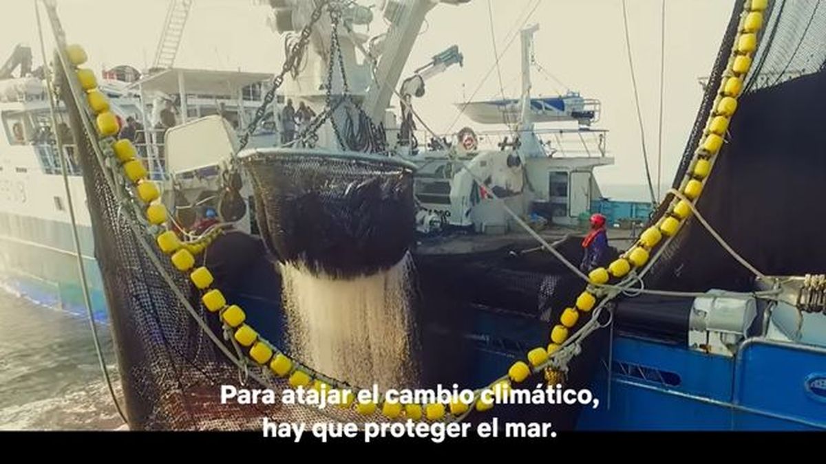 Seaspiracy la pesca insostenible netflix