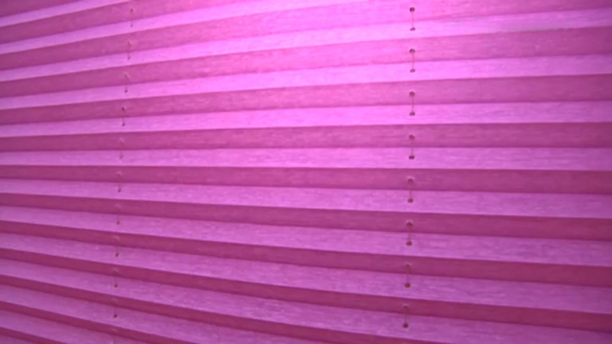 Estores, persianas y paneles para la decoración de ventanas   cortina plisada