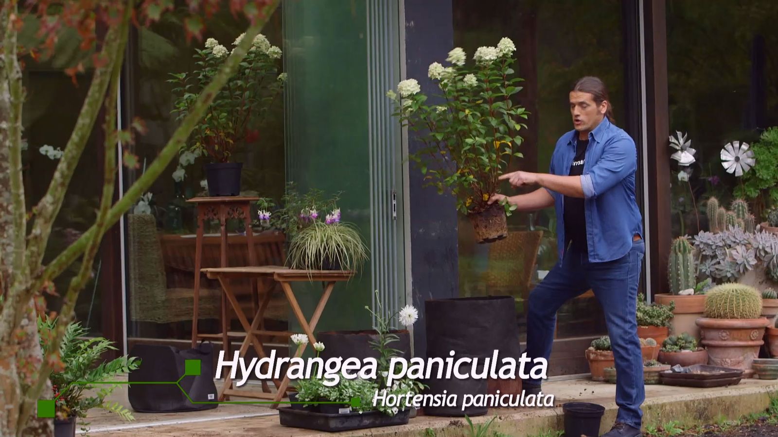 brico 0927 3 jardinera tela hortensia