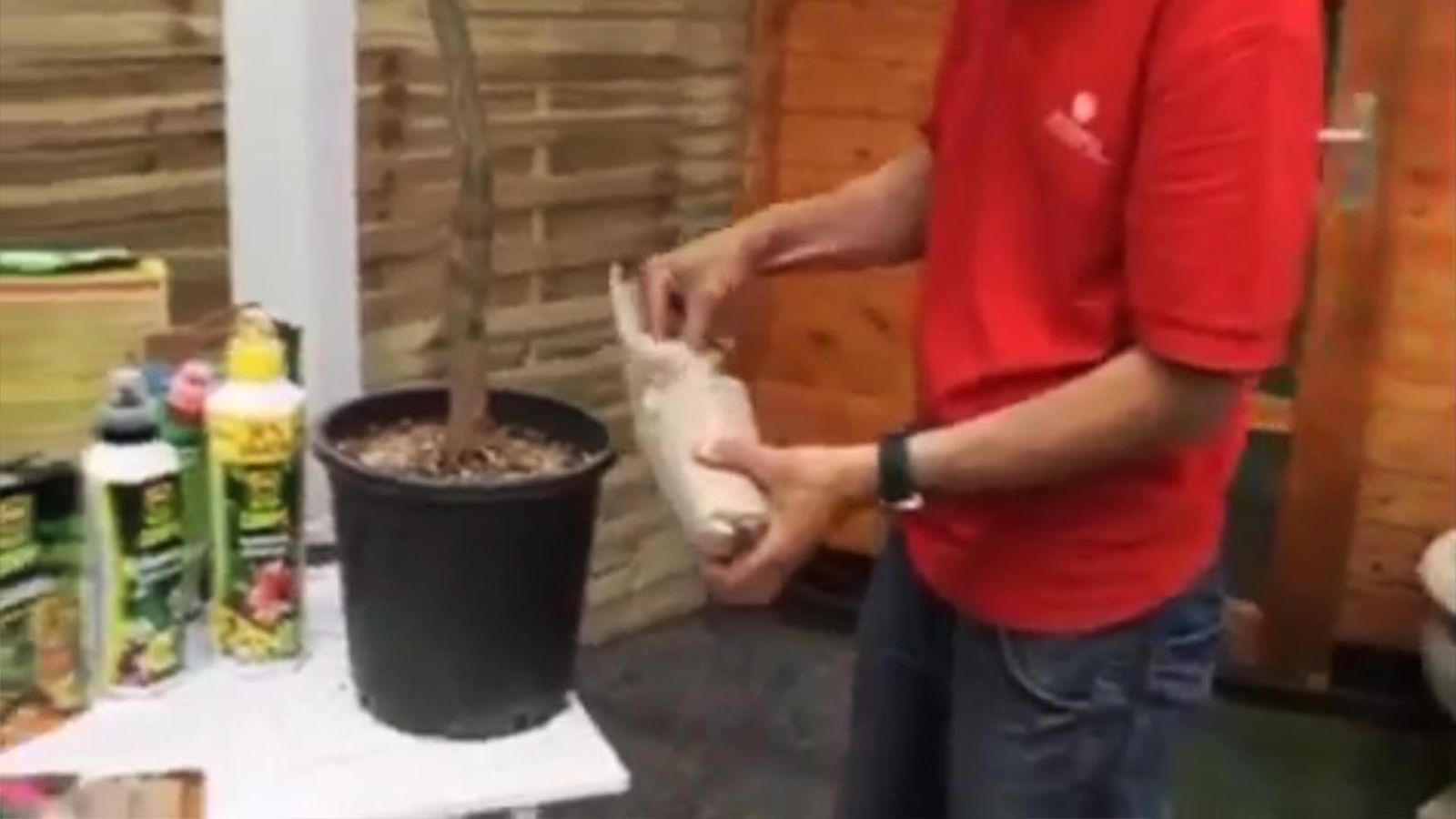 guano usos