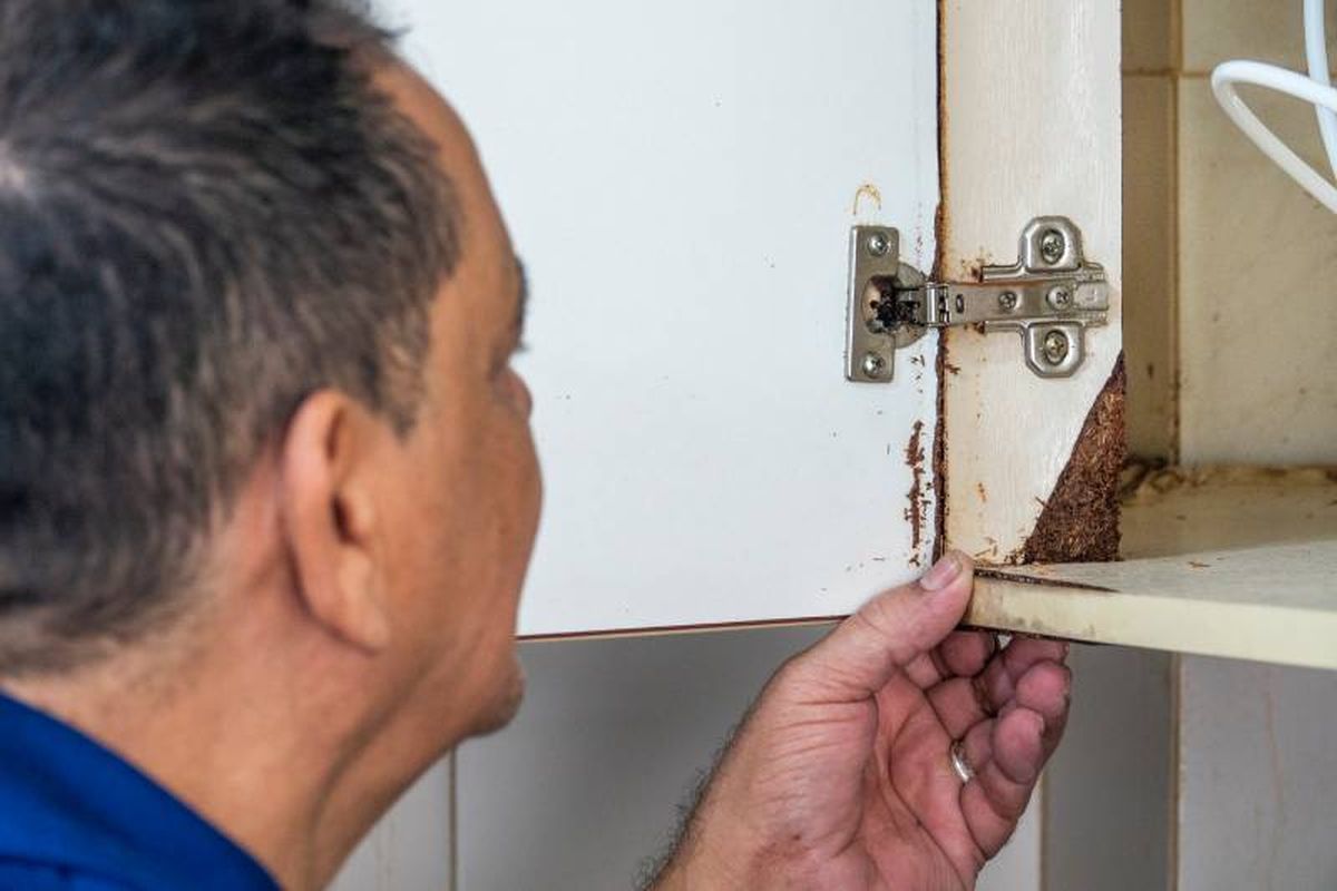 Armario de la cocina con humedad.