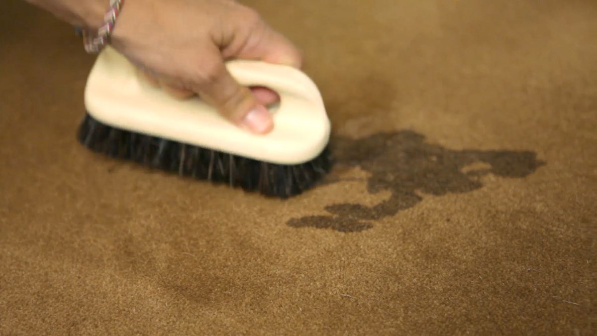 12 limpiar alfombras moquetas volvone light paso 6