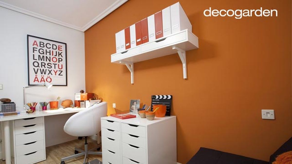 Estudio polivalente y vitalista 4