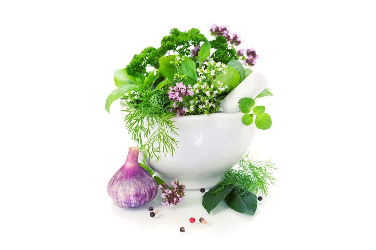 Plantar plantas aromáticas y culinarias