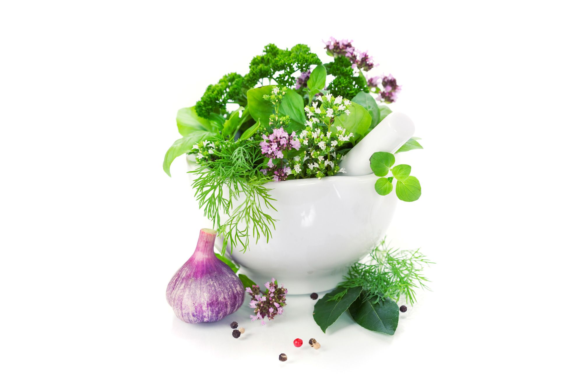 Plantar plantas aromáticas y culinarias