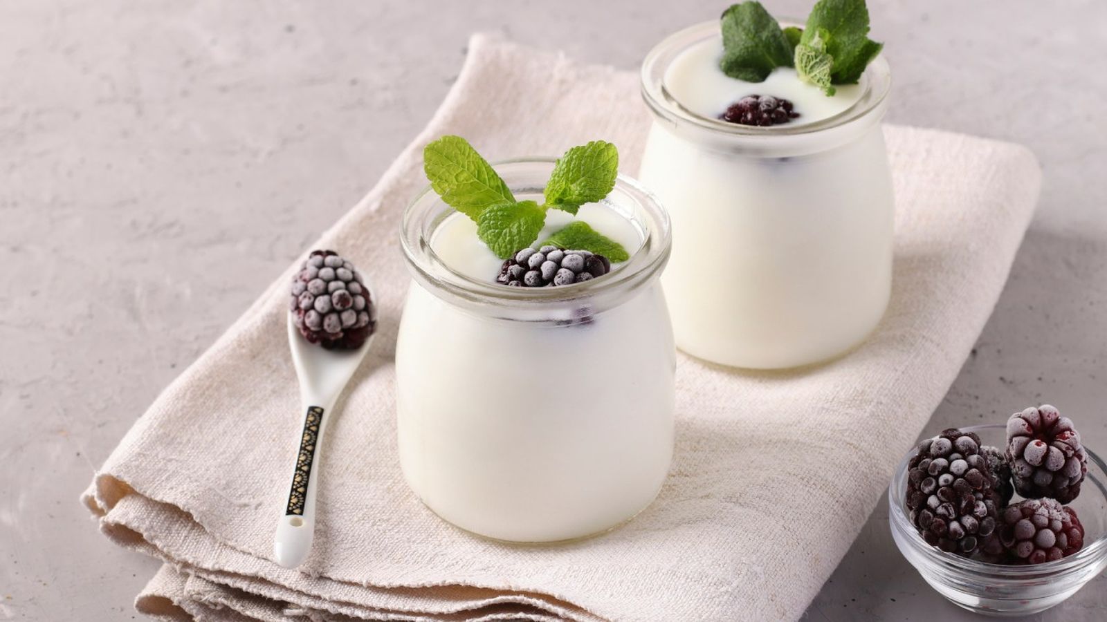 yogur natural casero