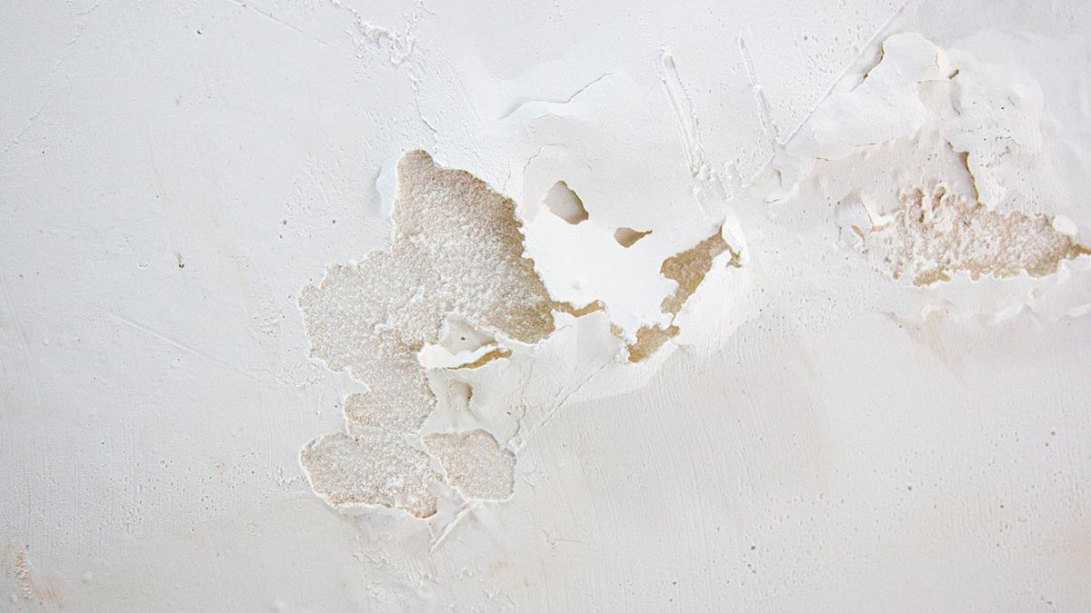 Reparar una humedad producida por filtracion   Curso de bricolaje