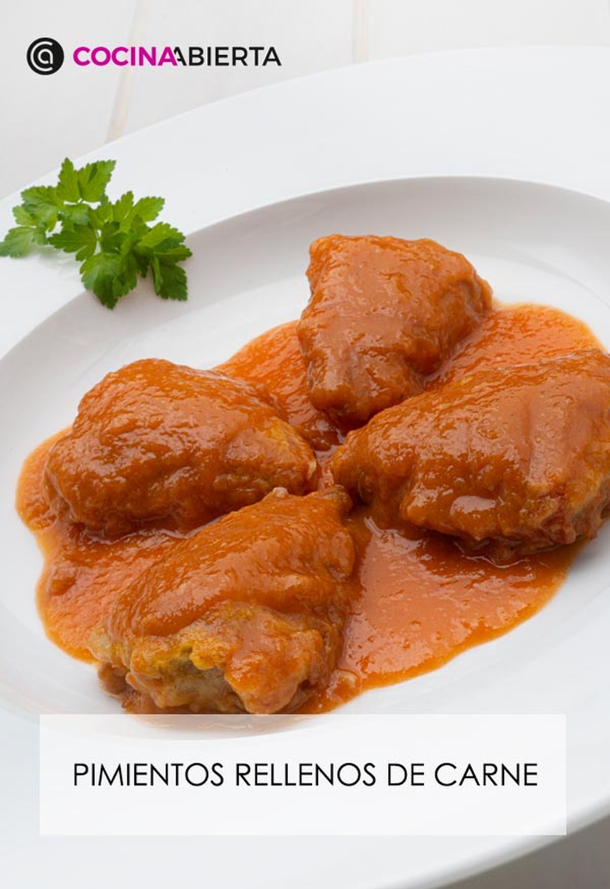 karl6660 pimientos carne v