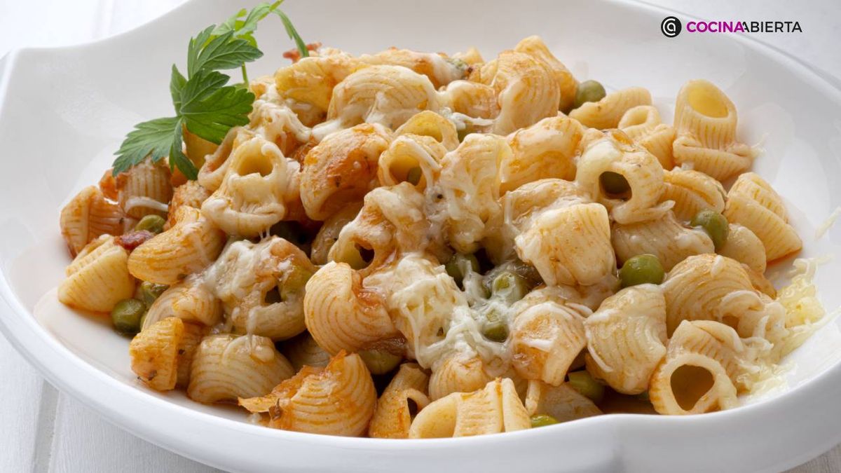 karl7048 pasta guisantes xl