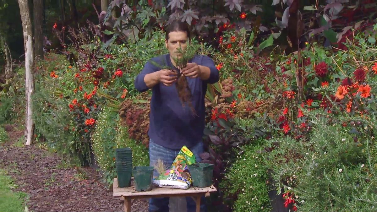 Decogarden 668 ventajas corteza pino trasplante