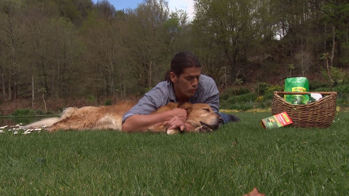 deco 658 herbicidas cesped jardin cesped