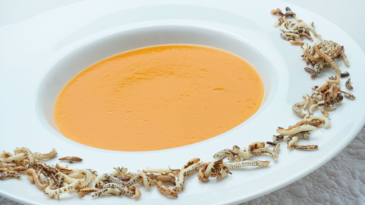 crema calabaza xl