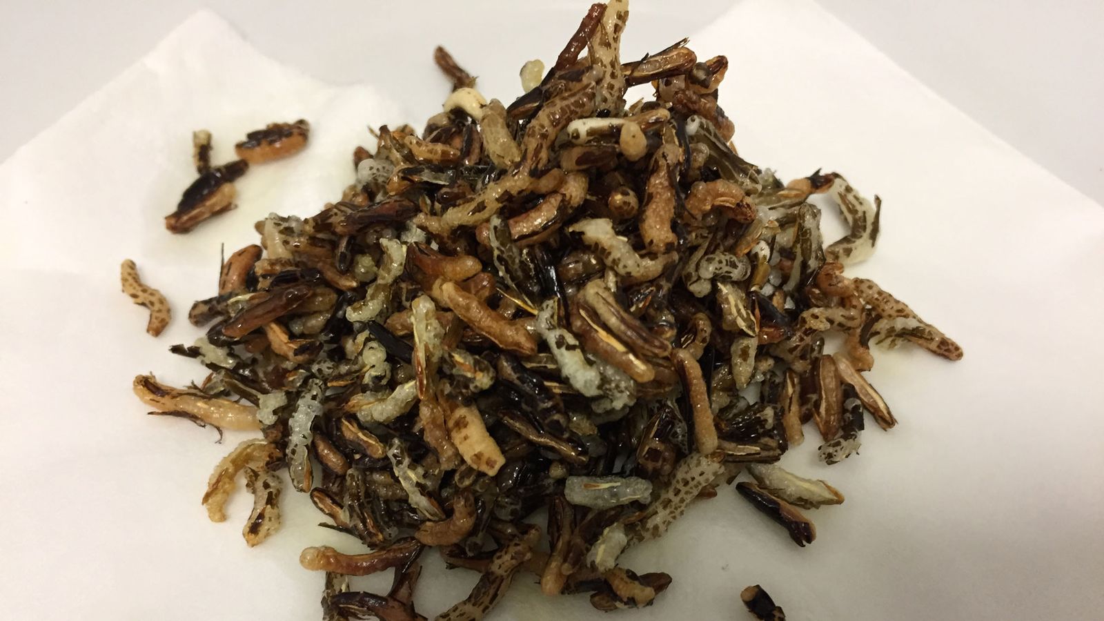 gusanos arroz frito halloween xl