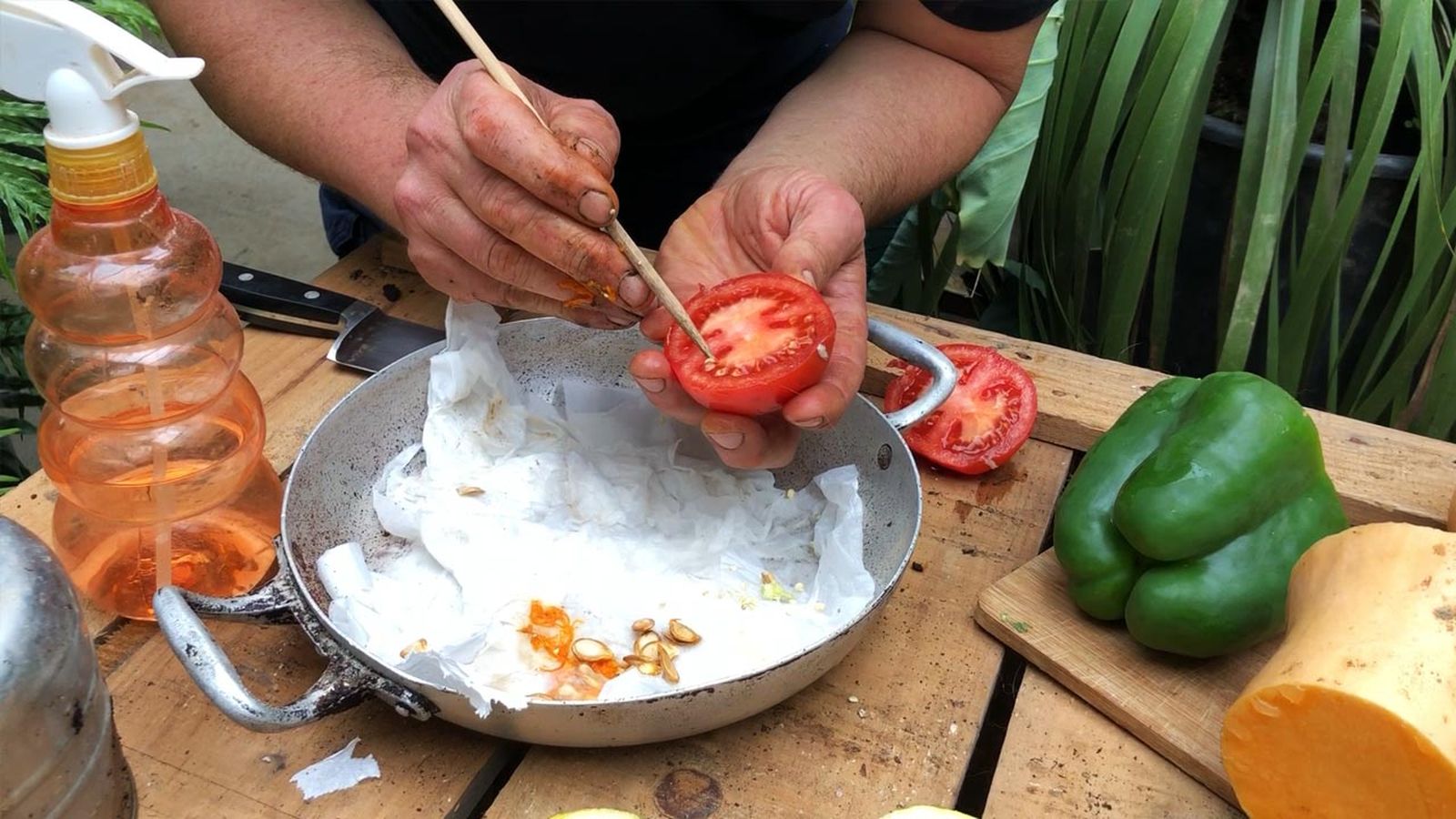 germinar semillas papel higienico xl