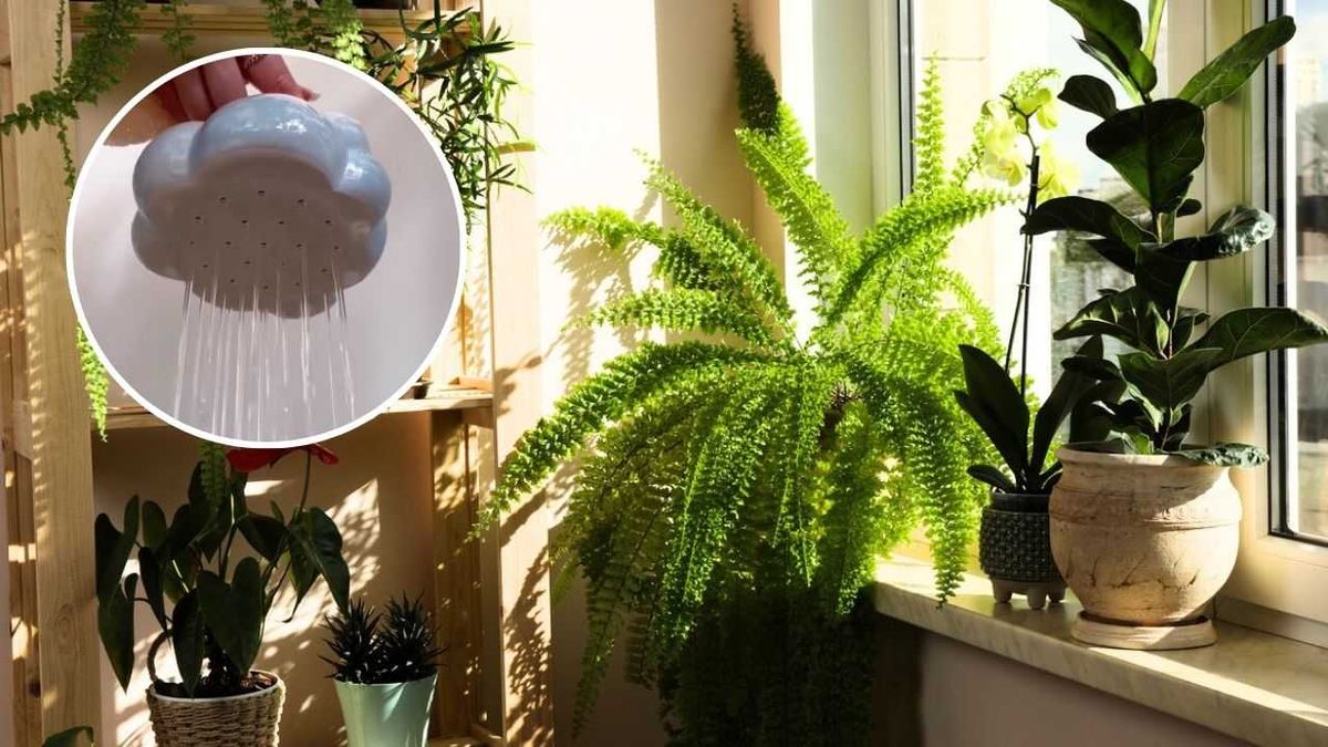 Cada vez hay regaderas para plantas más originales y llamativas