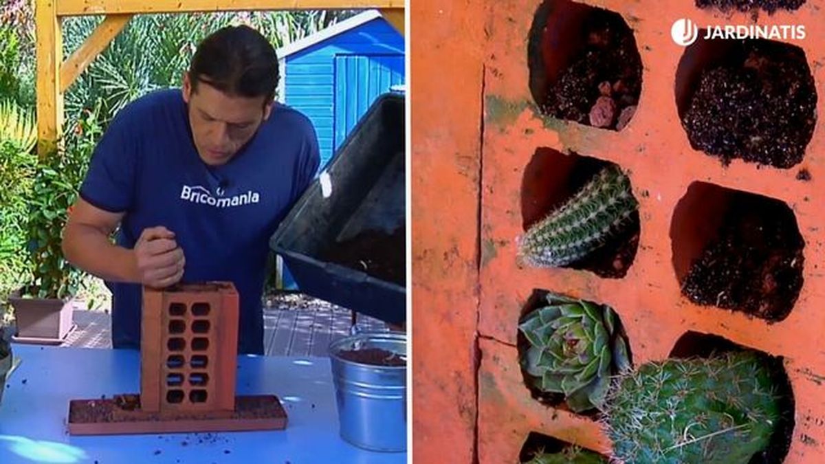 mini jardin de suculentas de ladrillos jardinatis