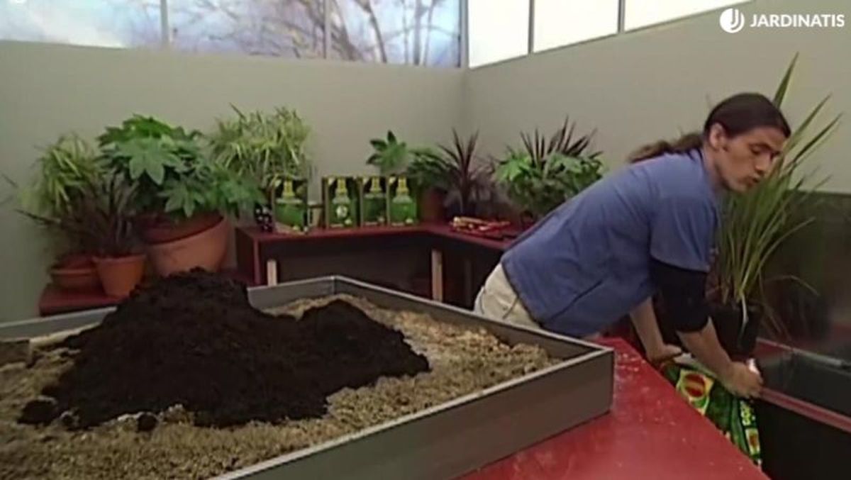 Aporte de materia orgánica.